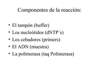 Componentes de la reacción:

•   El tampón (buffer)
•   Los nucleótidos (dNTP´s)
•   Los cebadores (primers)
•   El ADN (muestra)
•   La polimerasa (taq Polimerasa)
 