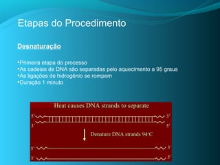 Etapas do Procedimento

Desnaturação

•Primeira etapa do processo
•As cadeias de DNA são separadas pelo aquecimento a 95 graus
•As ligações de hidrogênio se rompem
•Duração 1 minuto
 