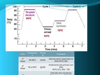 Temperatur   Tempo
Ciclo                                Finalidade
            a          (s)
  1ª                         Desnaturação (separação do
         94-96ºC     20-60
etapa                             DNA) 94ºC/30s
                             Anelamento dos primers com
  2ª
        50 a 60ºC    20-90              DNA
etapa
                                 50ºC/15 a 30s - ºGC
                              Extensão dos iniciadores
 