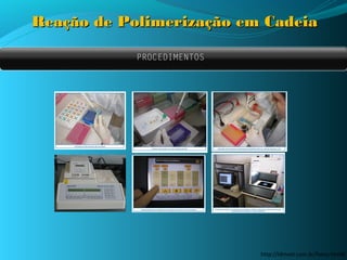 Reação de Polimerização em Cadeia

            PROCEDIMENTOS




                            http://ldmvet.com.br/fotos.html#
 