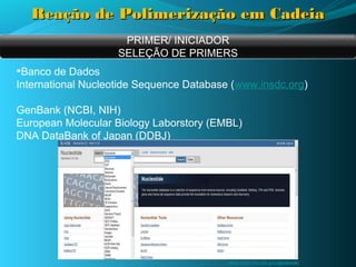 Reação de Polimerização em Cadeia
                     PRIMER/ INICIADOR
                    SELEÇÃO DE PRIMERS
•Banco de Dados
International Nucleotide Sequence Database (www.insdc.org)

GenBank (NCBI, NIH)
European Molecular Biology Laborstory (EMBL)
DNA DataBank of Japan (DDBJ)




                                          www.ncbi.nlm.nih.gov/genbank/
 