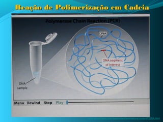 Reação de Polimerização em Cadeia




                 www.sumanasinc.com/webcontent/animations/content/ELISA.html
 
