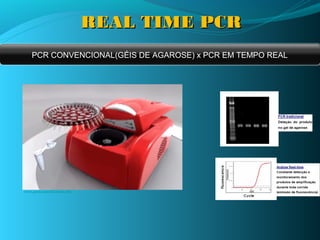REAL TIME PCR
    PCR CONVENCIONAL(GÉIS DE AGAROSE) x PCR EM TEMPO REAL




www.gene-quantification.info
 