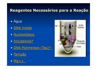 Reagentes Necessários para a Reação
•  Água
•  DNA molde
•  Nucleotídeos
•  Iniciadores*
•  DNA Polimerase (Taq)*
•  Tampão
•  Mg++

 