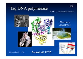 Taq DNA polymerase

PCR
5’ à 3’ / sem atividade corretiva!

Thermus
aquaticus

Thomas Brock - 1976

Estável até 117ºC

 