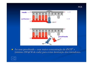 PCR

n 

Ao usar proofreads – usar maior concentração de dNTP’s
(mínimo 200μM de cada) para evitar destruição dos iniciadores.

 