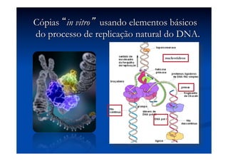 Cópias “in vitro” usando elementos básicos
do processo de replicação natural do DNA.
nucleotídeos

 