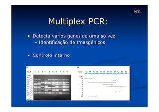 PCR

Multiplex PCR:
•  Detecta vários genes de uma só vez
–  Identificação de trnasgênicos
•  Controle interno

 