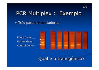PCR

PCR Multiplex : Exemplo
•  Três pares de iniciadores

Effect Gene
Marker Gene
Control Gene

Qual é o transgênico?

 