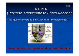 PCR

RT-PCR
(Reverse Transcriptase Chain Reaction):
RNA, que é convertido em cDNA (DNA complementar)

Ferramenta útil em estudos de expressão gênica

 