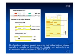 PCR

Identificação de mutações pontuais através da eliminação/criação de sítios de
restrição e geração de fragmentos de digestão com polimorfismo de
comprimento a partir de produtos de PCR (PCR/RFLP).

 