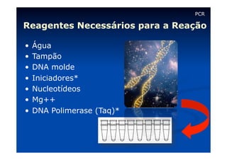 PCR

Reagentes Necessários para a Reação
•  Água
•  Tampão
•  DNA molde
•  Iniciadores*
•  Nucleotídeos
•  Mg++
•  DNA Polimerase (Taq)*

 