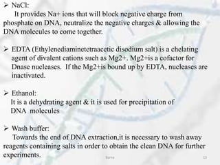  NaCl:
It provides Na+ ions that will block negative charge from
phosphate on DNA, neutralize the negative charges & allowing the
DNA molecules to come together.
 EDTA (Ethylenediaminetetraacetic disodium salt) is a chelating
agent of divalent cations such as Mg2+. Mg2+is a cofactor for
Dnase nucleases. If the Mg2+is bound up by EDTA, nucleases are
inactivated.
 Ethanol:
It is a dehydrating agent & it is used for precipitation of
DNA molecules
 Wash buffer:
Towards the end of DNA extraction,it is necessary to wash away
reagents containing salts in order to obtain the clean DNA for further
experiments. Barna 13
 