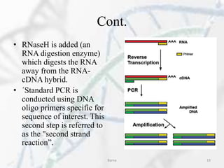 Cont.
• RNaseH is added (an
RNA digestion enzyme)
which digests the RNA
away from the RNA-
cDNA hybrid.
• ´Standard PCR is
conducted using DNA
oligo primers specific for
sequence of interest. This
second step is referred to
as the "second strand
reaction”.
Barna 19
 
