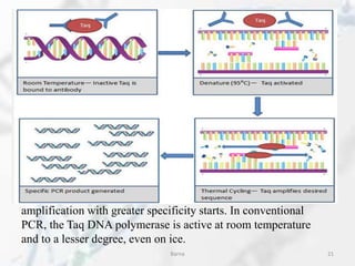 amplification with greater specificity starts. In conventional
PCR, the Taq DNA polymerase is active at room temperature
and to a lesser degree, even on ice.
Barna 21
 