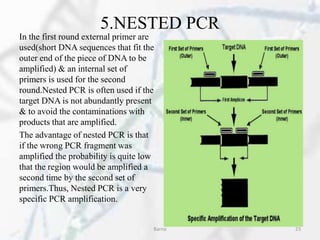 5.NESTED PCR
In the first round external primer are
used(short DNA sequences that fit the
outer end of the piece of DNA to be
amplified) & an internal set of
primers is used for the second
round.Nested PCR is often used if the
target DNA is not abundantly present
& to avoid the contaminations with
products that are amplified.
The advantage of nested PCR is that
if the wrong PCR fragment was
amplified the probability is quite low
that the region would be amplified a
second time by the second set of
primers.Thus, Nested PCR is a very
specific PCR amplification.
Barna 23
 
