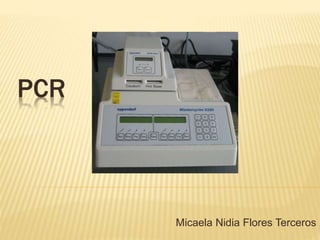 PCR
Micaela Nidia Flores Terceros
 