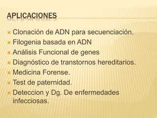 APLICACIONES
 Clonación de ADN para secuenciación.
 Filogenia basada en ADN
 Análisis Funcional de genes
 Diagnóstico de transtornos hereditarios.
 Medicina Forense.
 Test de paternidad.
 Deteccion y Dg. De enfermedades
infecciosas.
 