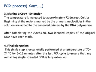 Pcr Extending Polymerase Chain Reaction | PPTX