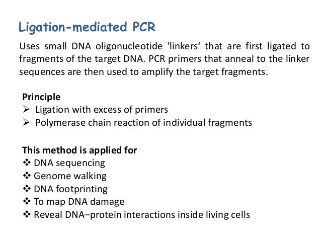 Polymerase Chain Reaction