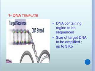 1- DNA TEMPLATE
• DNA containing
region to be
sequenced
• Size of target DNA
to be amplified :
up to 3 Kb
 