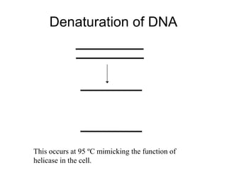 PCR | PPT