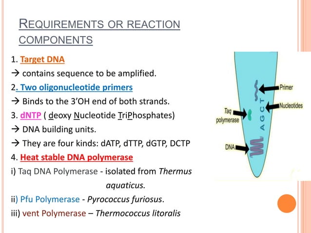 Pcr Slideshow PCR- Steps;Applications and types of PCR (Exam point of view) | PPTX