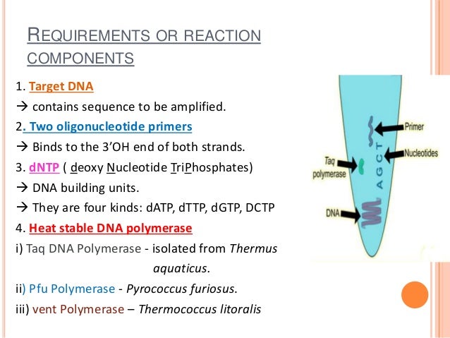 D-PCR-DY-23 Übungsmaterialien