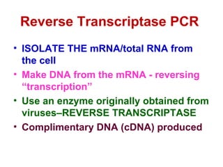 Transcriptasa Inversa Pcr | PPT