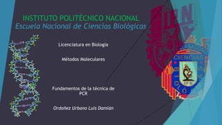 INSTITUTO POLITÉCNICO NACIONAL
Escuela Nacional de Ciencias Biológicas
Licenciatura en Biología
Métodos Moleculares
Fundamentos de la técnica de
PCR
Ordoñez Urbano Luis Damián
 