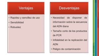 Ventajas
• Rapidez y sencillez de uso
• Sensibilidad
• Robustez
Desventajas
• Necesidad de disponer de
información sobre la secuencia
del ADN diana
• Tamaño corto de los productos
de PCR
• Infidelidad en la replicación del
ADN
• Peligro de contaminación
 