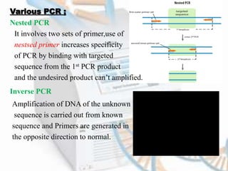 Pcr | PPTX