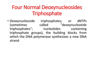 Four Normal Deoxynucleosides
Triphosphate
• Deoxynucleoside triphosphates, or dNTPs
(sometimes called "deoxynucleotide
triphosphates"; nucleotides containing
triphosphate groups), the building blocks from
which the DNA polymerase synthesizes a new DNA
strand
 