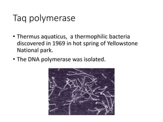 Taq polymerase
• Thermus aquaticus, a thermophilic bacteria
discovered in 1969 in hot spring of Yellowstone
National park.
• The DNA polymerase was isolated.
 