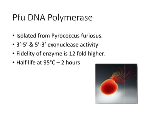 Pfu DNA Polymerase
• Isolated from Pyrococcus furiosus.
• 3’-5’ & 5’-3’ exonuclease activity
• Fidelity of enzyme is 12 fold higher.
• Half life at 95°C – 2 hours
 