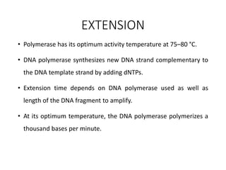 EXTENSION
• Polymerase has its optimum activity temperature at 75–80 °C.
• DNA polymerase synthesizes new DNA strand complementary to
the DNA template strand by adding dNTPs.
• Extension time depends on DNA polymerase used as well as
length of the DNA fragment to amplify.
• At its optimum temperature, the DNA polymerase polymerizes a
thousand bases per minute.
 