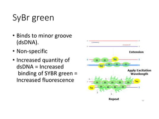 SyBr green
• Binds to minor groove
(dsDNA).
• Non-specific
• Increased quantity of
dsDNA = Increased
binding of SYBR green =
Increased fluorescence
 