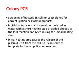 Colony PCR
• Screening of bacteria (E.coli) or yeast clones for
correct ligation or Plasmid products.
• Individual transformants can either be lysed in
water with a short heating step or added directly to
the PCR reaction and lysed during the initial heating
step.
• Initial heating step causes the release of the
plasmid DNA from the cell, so it can serve as
template for the amplification reaction.
 