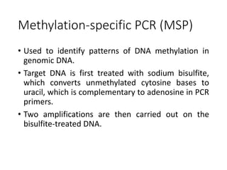 Methylation-specific PCR (MSP)
• Used to identify patterns of DNA methylation in
genomic DNA.
• Target DNA is first treated with sodium bisulfite,
which converts unmethylated cytosine bases to
uracil, which is complementary to adenosine in PCR
primers.
• Two amplifications are then carried out on the
bisulfite-treated DNA.
 