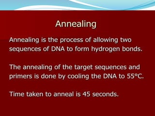 Polymerase cHain reaction procedure and application