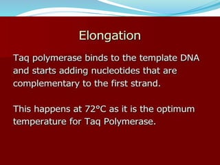Polymerase cHain reaction procedure and application