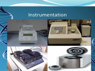 Polymerase cHain reaction procedure and application