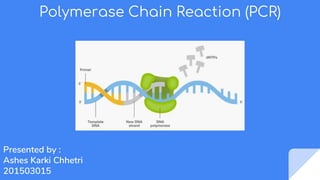 Polymerase Chain Reaction (PCR)
Presented by :
Ashes Karki Chhetri
201503015
 