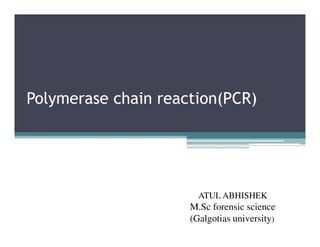 Polymerase chain reaction(PCR)
ATUL ABHISHEK
M.Sc forensic science
(Galgotias university)
 