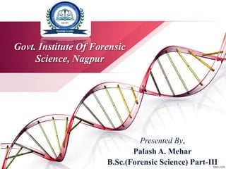Govt. Institute Of Forensic
Science, Nagpur
Presented By,
Palash A. Mehar
B.Sc.(Forensic Science) Part-III
 