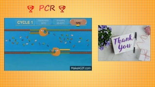 PCR
