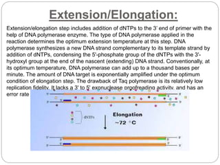 Extension/Elongation:
Extension/elongation step includes addition of dNTPs to the 3’ end of primer with the
help of DNA polymerase enzyme. The type of DNA polymerase applied in the
reaction determines the optimum extension temperature at this step. DNA
polymerase synthesizes a new DNA strand complementary to its template strand by
addition of dNTPs, condensing the 5'-phosphate group of the dNTPs with the 3'-
hydroxyl group at the end of the nascent (extending) DNA strand. Conventionally, at
its optimum temperature, DNA polymerase can add up to a thousand bases per
minute. The amount of DNA target is exponentially amplified under the optimum
condition of elongation step. The drawback of Taq polymerase is its relatively low
replication fidelity. It lacks a 3' to 5' exonuclease proofreading activity, and has an
error rate measured at about 1 in 9,000 nucleotides
 