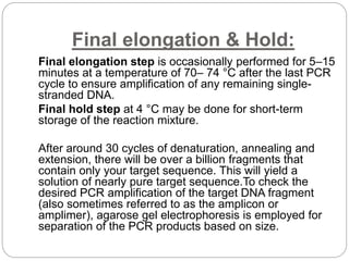 Final elongation & Hold:
Final elongation step is occasionally performed for 5–15
minutes at a temperature of 70– 74 °C after the last PCR
cycle to ensure amplification of any remaining single-
stranded DNA.
Final hold step at 4 °C may be done for short-term
storage of the reaction mixture.
After around 30 cycles of denaturation, annealing and
extension, there will be over a billion fragments that
contain only your target sequence. This will yield a
solution of nearly pure target sequence.To check the
desired PCR amplification of the target DNA fragment
(also sometimes referred to as the amplicon or
amplimer), agarose gel electrophoresis is employed for
separation of the PCR products based on size.
 