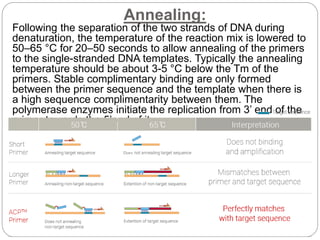 Annealing:
Following the separation of the two strands of DNA during
denaturation, the temperature of the reaction mix is lowered to
50–65 °C for 20–50 seconds to allow annealing of the primers
to the single-stranded DNA templates. Typically the annealing
temperature should be about 3-5 °C below the Tm of the
primers. Stable complimentary binding are only formed
between the primer sequence and the template when there is
a high sequence complimentarity between them. The
polymerase enzymes initiate the replication from 3’ end of the
primer towards the 5’end of it.
 