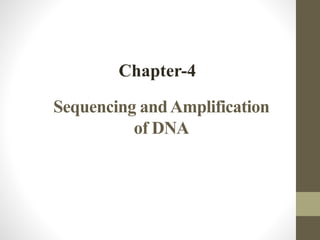 Sequencing andAmplification
of DNA
Chapter-4
 